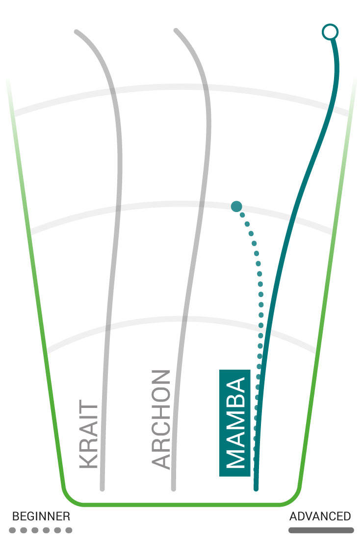 mamba flight path